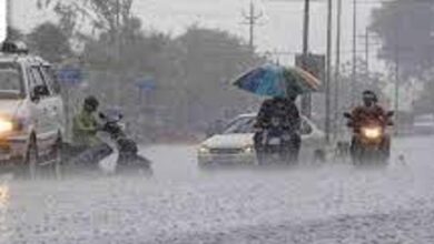 भोपाल में आज भारी बारिश का अलर्ट, अगले दो दिन भी सक्रिय रहेगा मानसून 6 WhatsApp Image 2026 09 05 at 11.28.51