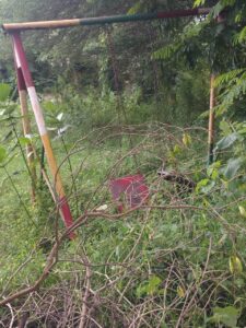 सांप की फुफकार से नेहरू रेलवे कॉलोनी में दहशत 2 WhatsApp Image 2026 09 06 at 20.16.02