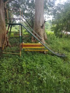 सांप की फुफकार से नेहरू रेलवे कॉलोनी में दहशत 3 WhatsApp Image 2026 09 06 at 20.16.03