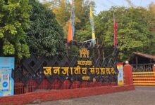 जनजातीय संग्रहालय में आज राई, करमा और द्रौपदी लीला-नाट्य की प्रस्तुति 2 images 11