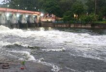 images 6