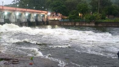 भदभदा और कलियासोत के गेट खुले, - एमपी में फिर भारी बारिश का दौर, कई नदियां उफान पर 4 images 6