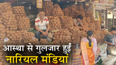 आस्था से गुलजार हुईं नारियल मंडियां, नवरात्रि में जबलपुर में बिके 2 से 3 लाख नग नारियल ,लाखों का कारोबार 4 01 8