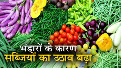 भंडारों के कारण सब्जियों का उठाव बढ़ा, बारिश बीतते ही आवक बढ़ी, दाम भी घटे 5 04 2