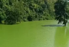 पानी और पहाड़ों का रंग हुआ एक : धरती पर दिखा कुदरत का अद्भुत नजारा.... देखें पूरा वीडियो 9 20261001110101 kEtb7Aba