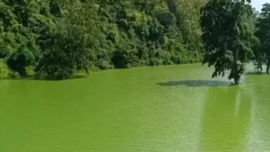 पानी और पहाड़ों का रंग हुआ एक : धरती पर दिखा कुदरत का अद्भुत नजारा.... देखें पूरा वीडियो 7 20261001110101 kEtb7Aba