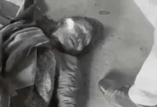 रस्सी खोलते ही युवक ने परिवार पर किया हमला, मां-नाना-नानी की मौत; चार घायल 3 20261003154803 w56Gs7Fp