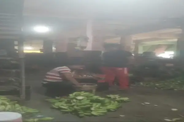 केले के नाम पर ‘जहर’ का खेल,व्यापारियों को नहीं है एफडीए का डर 1 20261003174233 XSDKpitF
