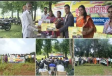 ऑयल पाम के बीच तिल की खेती, किसानों की बढ़ेगी अतिरिक्त आय 8 20261005144024 riVylcSV