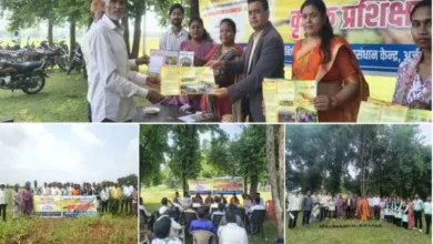 ऑयल पाम के बीच तिल की खेती, किसानों की बढ़ेगी अतिरिक्त आय 5 20261005144024 riVylcSV