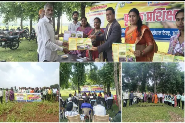 ऑयल पाम के बीच तिल की खेती, किसानों की बढ़ेगी अतिरिक्त आय 1 20261005144024 riVylcSV