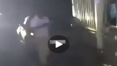 20261006101156 GZvbPWXd