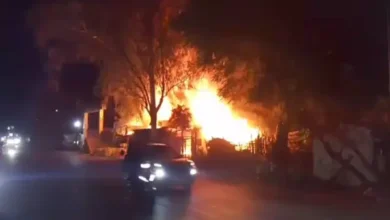 लकड़ी की टाल में भीषण आग: मची अफरा-तफरी, पास के मैरिज गार्डन और टालों पर मंडराया खतरा 1 20261007003044 XAlPv2Zz