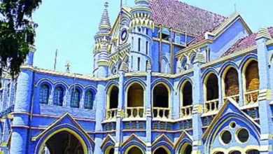 केन-बेतवा परियोजना पर हाईकोर्ट सख्त, 60 लाख पेड़ों की कटाई के दावे पर मांगी CEC रिपोर्ट 18 20261011190002 0bJHqP2x