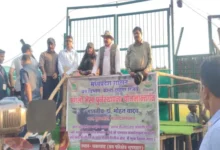 कान्हा टाइगर रिजर्व के सूपखार में 100 साल बाद लौटे जंगली भैंसे : मुख्यमंत्री डॉ. मोहन यादव ने 17 हेक्टेयर के बाड़े में किया स्थानांतरित 3 20261011201536 KMu0ZKCs