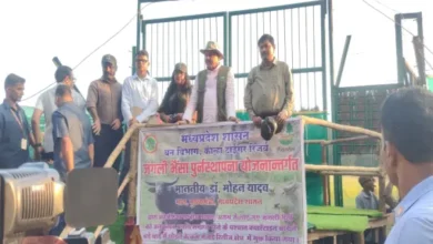 कान्हा टाइगर रिजर्व के सूपखार में 100 साल बाद लौटे जंगली भैंसे : मुख्यमंत्री डॉ. मोहन यादव ने 17 हेक्टेयर के बाड़े में किया स्थानांतरित 10 20261011201536 KMu0ZKCs