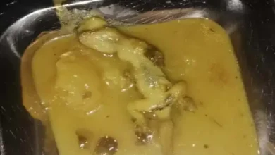 श्रमोदय आवासीय विद्यालय के हॉस्टल में परोसे गए भोजन में मिली छिपकली, 13 बच्चे बीमार 1 20261011220337 bQZdRR3u