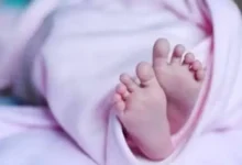 राजाभोज प्रतिमा के पास मिला नवजात शिशु बालिका का शव 3 20261013130941 CosB1vWm