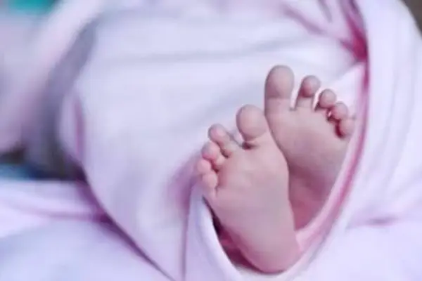 राजाभोज प्रतिमा के पास मिला नवजात शिशु बालिका का शव 1 20261013130941 CosB1vWm