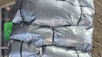 भोपाल आईएसबीटी पर महिला यात्री से 2.60 किलो मेथामफेटामाइन जब्त, कीमत 2.08 करोड़ 1 20261014233932 sfnzDAiS