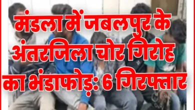मंडला में जबलपुर के अंतरजिला चोर गिरोह का भंडाफोड़: 6 गिरफ्तार, सोने-चांदी के आभूषण और 80 हजार रुपये नकद जब्त 3 20261016215643 cgUnjgqL