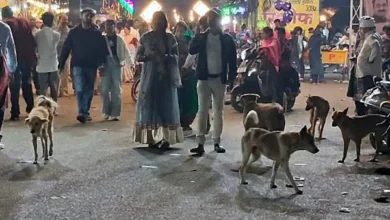 नगर निगम की अनदेखी से शहर में आवारा कुत्तों का आतंक, देवी दर्शन को निकल रहे श्रद्धालुओं पर खतरा 4 20261018152543 Rd1l4o12
