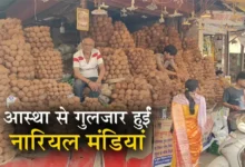 नवरात्रि में जबलपुर में बिके 2 से 3 लाख नग नारियल ,लाखों का कारोबार 9 20261019131341 Jo8mSIqr