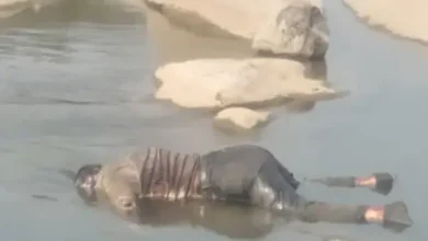 पिकनिक स्पॉट पर खौफनाक मंजर: 4 दिन से लापता पोस्ट ऑफिस कर्मी युवती का पानी में उतराता मिला शव, स्कूटी-बैग बरामद 10 20261020204151 EdxprLsa