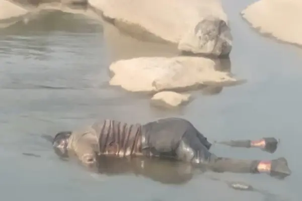 पिकनिक स्पॉट पर खौफनाक मंजर: 4 दिन से लापता पोस्ट ऑफिस कर्मी युवती का पानी में उतराता मिला शव, स्कूटी-बैग बरामद 1