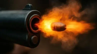 शस्त्र पूजा के बाद बड़ा हादसा: अलमारी में रखते वक्त चली लाइसेंसी बंदूक, सहायक आबकारी अधिकारी की पत्नी गंभीर 6 20261022090824 BVoMqy5f
