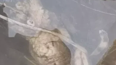 20261028174626 zBLg56ug