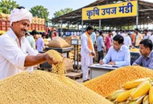 किसानों को बड़ी राहत, अब छुट्टी के दिन भी होगी सोयाबीन-मक्का की खरीदी मध्यप्रदेश सरकार का फैसला, अवकाश के दौरान भी खुली रहेंगी मंडियां, उपज बेचने के लिए मिलेगा अतिरिक्त समय 2 20261030123517 nmZY1KC1