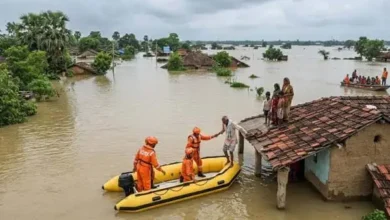 ओडिशा के तीन जिलों में बाढ़, 62 हजार लोग फंसे, 14 राज्यों में आंधी-बारिश का अलर्ट 8 20261030131457 qEl69ppV