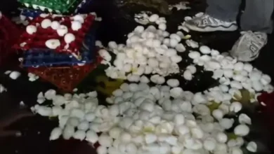 सड़क के गड्ढे ने गरीब की मेहनत पर फेरा पानी, पलटा अंडों से भरा ऑटो 7 20261031132936 02osgUGp