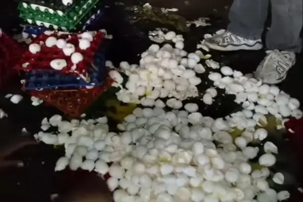 सड़क के गड्ढे ने गरीब की मेहनत पर फेरा पानी, पलटा अंडों से भरा ऑटो 1 20261031132936 02osgUGp