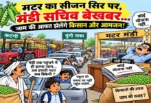 मटर का सीजन सिर पर, मंडी सचिव बेखबर…जाम की आफत झेलेंगे किसान और आमजन..! 2 20261031171342 RBypvbWy