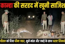 कान्हा की सरहद में खूनी साजिश: चीतल को दिया धीमा जहर, भुने मांस और जबड़े के साथ धराए शिकारी 2 20261031204039 gbDlzxuT