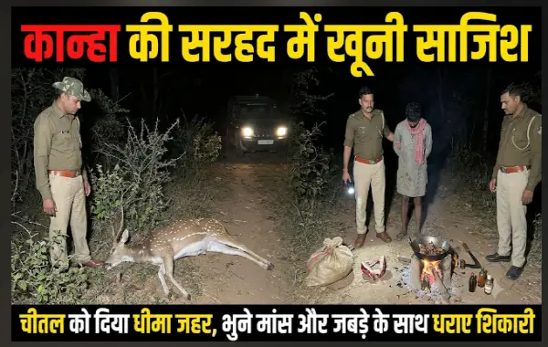 कान्हा की सरहद में खूनी साजिश: चीतल को दिया धीमा जहर, भुने मांस और जबड़े के साथ धराए शिकारी 1