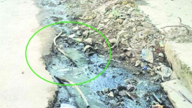नाली के अंदर से निकली पानी की पाइप लाइन, घरों में गंदे पानी की आपूर्ति, इंदौर हादसे के बाद भी नगर निगम ने नहीं लिया सबक 4 205