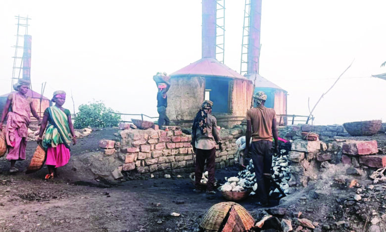 चूना भट्ठे में मजदूरों का शोषण, 12 से 14 घंटे करवाया जा रहा काम, 400 रुपये दे रहे मजदूरी, सुविधाएं भी नहीं, जान जोखिम में डालकर काम करने की मजबूरी 1 559