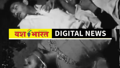ब्रेकिंग; दशहरा जुलूस देखने जा रहे बाइक सवार 3 युवकों की सड़क दुर्घटना में दर्दनाक मौत, बरही के पड़रिया गांव में हादसा 9 IMG 20261023 091118