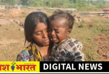 कटनी - पन्ना मार्ग पर सड़क किनारे झाड़ियों में मिला युवक का शव, दो साल का मासूम सुरक्षित, सरफराज आदिवासी की मौत से इलाके में सनसनी 2 IMG 20261024 183529