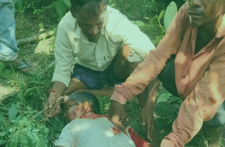 बाघ के हमले से मवेशी चराने गए बुजुर्ग की मौत : वन विभाग ने शुरू की जांच, क्षेत्र में हड़कंप 1 Screenshot 20261005 154459.WhatsApp