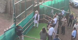 कान्हा टाइगर रिजर्व के सूपखार में 100 साल बाद लौटे जंगली भैंसे : मुख्यमंत्री डॉ. मोहन यादव ने 17 हेक्टेयर के बाड़े में किया स्थानांतरित 3 Screenshot 20261011 201423.WhatsApp